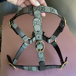 Gucci Dog Harness
